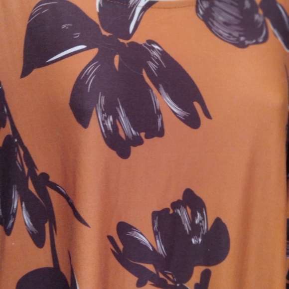 R & B Shift Dress w/Pockets - Picture 5 of 10